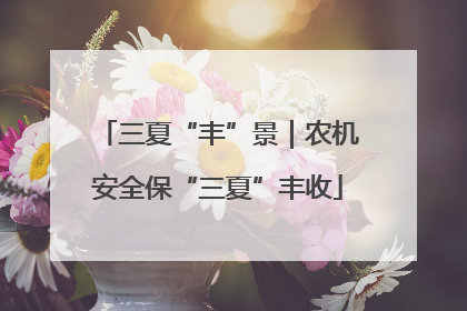 三夏“丰”景｜农机安全保“三夏”丰收