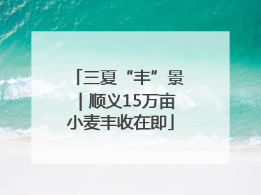 三夏“丰”景｜顺义15万亩小麦丰收在即