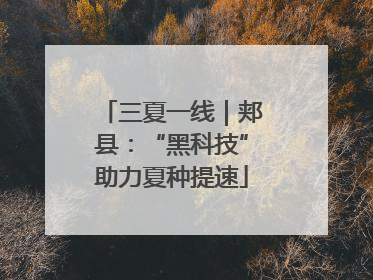 三夏一线｜郏县：“黑科技”助力夏种提速