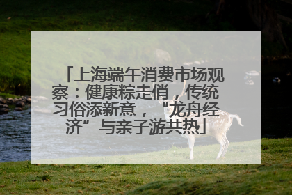 上海端午消费市场观察：健康粽走俏，传统习俗添新意，“龙舟经济”与亲子游共热