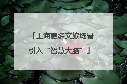 上海更多文旅场景引入“智慧大脑”