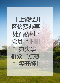 上饶经开区傍罗办事处石桥村：党员“下田”办实事 群众“点赞”笑开颜