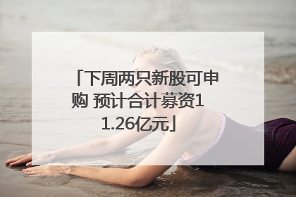 下周两只新股可申购 预计合计募资11.26亿元