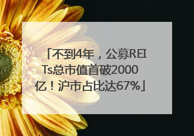 不到4年，公募REITs总市值首破2000亿！沪市占比达67%