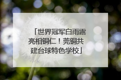 世界冠军白雨露亮相铜仁！莞铜共建台球特色学校