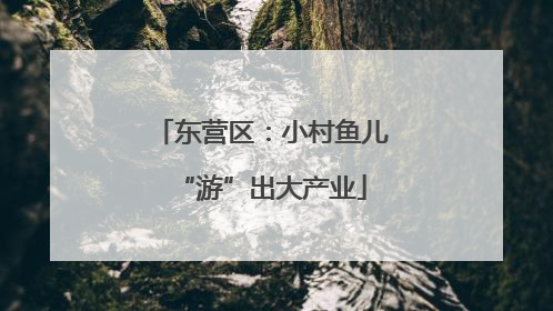 东营区：小村鱼儿“游”出大产业