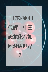 东西问丨代辉：中国恐龙化石如何对话世界？