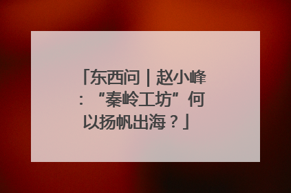 东西问｜赵小峰：“秦岭工坊”何以扬帆出海？