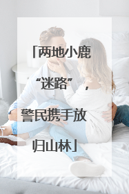 两地小鹿“迷路”，警民携手放归山林
