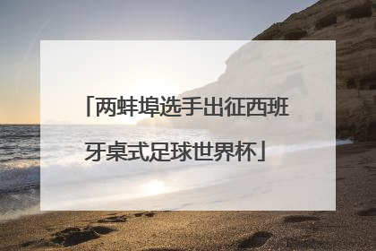 两蚌埠选手出征西班牙桌式足球世界杯