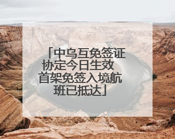中乌互免签证协定今日生效 首架免签入境航班已抵达