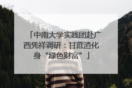 中南大学实践团赴广西凭祥调研：甘蔗渣化身“绿色财富”