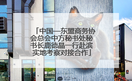 中国—东盟商务协会总会中方秘书处秘书长鹿德晶一行赴滨实地考察对接合作