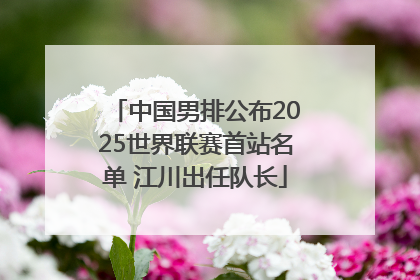 中国男排公布2025世界联赛首站名单 江川出任队长