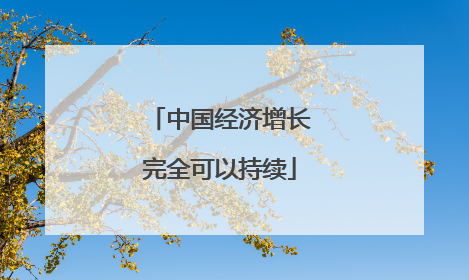 中国经济增长完全可以持续
