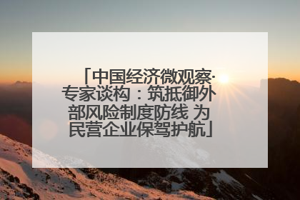 中国经济微观察·专家谈构：筑抵御外部风险制度防线 为民营企业保驾护航