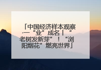 中国经济样本观察·一“业”成名丨“老树发新芽”！“浏阳烟花”燃亮世界