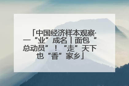 中国经济样本观察·一“业”成名丨面包“总动员”！“走”天下也“香”家乡