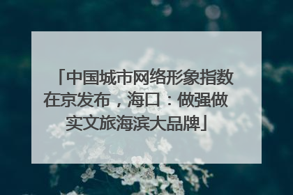 中国城市网络形象指数在京发布，海口：做强做实文旅海滨大品牌