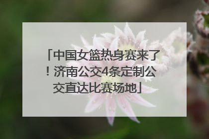 中国女篮热身赛来了！济南公交4条定制公交直达比赛场地