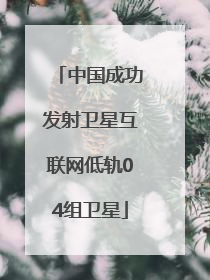 中国成功发射卫星互联网低轨04组卫星