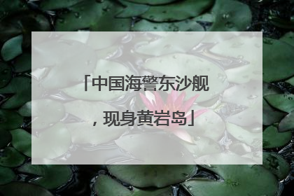 中国海警东沙舰，现身黄岩岛