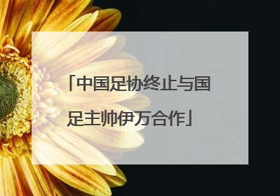 中国足协终止与国足主帅伊万合作
