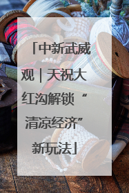 中新武威观｜天祝大红沟解锁“清凉经济”新玩法
