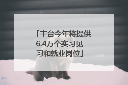 丰台今年将提供6.4万个实习见习和就业岗位