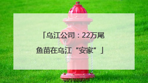 乌江公司：22万尾鱼苗在乌江“安家”