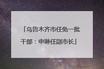 乌鲁木齐市任免一批干部：申琳任副市长