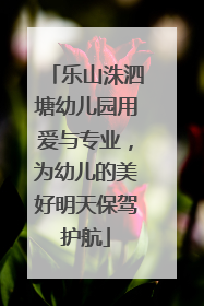 乐山洙泗塘幼儿园用爱与专业，为幼儿的美好明天保驾护航