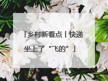 乡村新看点丨快递坐上了“飞的”