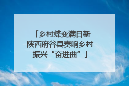 乡村蝶变满目新 陕西府谷县奏响乡村振兴“奋进曲”