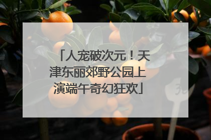 人宠破次元！天津东丽郊野公园上演端午奇幻狂欢