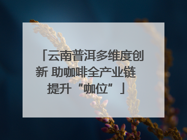 云南普洱多维度创新 助咖啡全产业链提升“咖位”