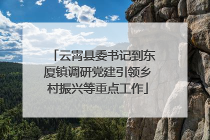 云霄县委书记到东厦镇调研党建引领乡村振兴等重点工作