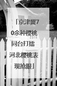 京津冀70余种樱桃同台打擂 河北樱桃表现抢眼