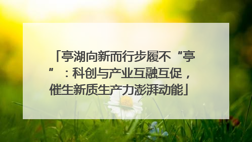 亭湖向新而行步履不“亭”：科创与产业互融互促，催生新质生产力澎湃动能