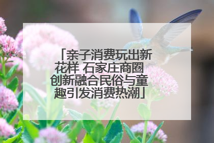 亲子消费玩出新花样 石家庄商圈创新融合民俗与童趣引发消费热潮