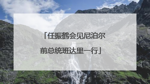 任振鹤会见尼泊尔前总统班达里一行