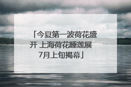今夏第一波荷花盛开 上海荷花睡莲展7月上旬揭幕