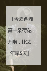 今夏西湖第一朵荷花开啦，比去年早5天