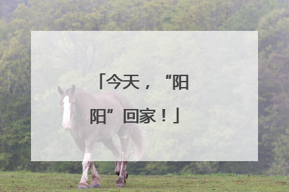 今天，“阳阳”回家！