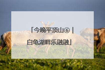 今晚平顶山⑥｜白龟湖畔乐融融