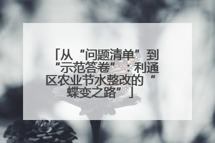 从“问题清单”到“示范答卷”：利通区农业节水整改的“蝶变之路”