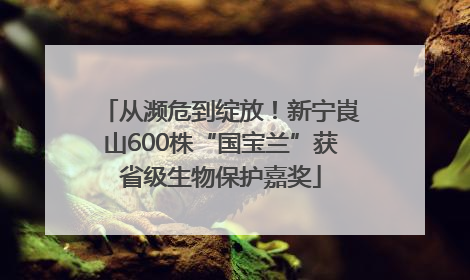 从濒危到绽放!新宁崀山600株“国宝兰”获省级生物保护嘉奖