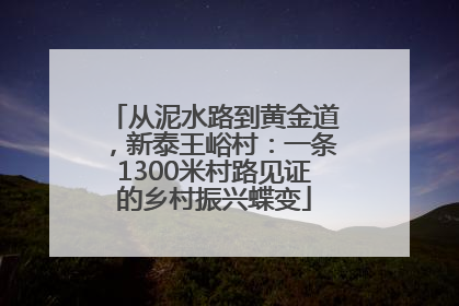 从泥水路到黄金道，新泰王峪村：一条1300米村路见证的乡村振兴蝶变