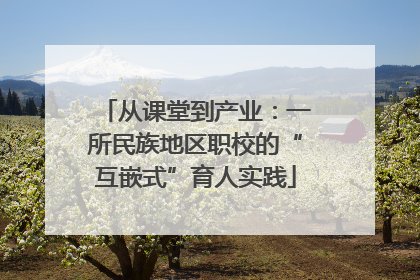 从课堂到产业：一所民族地区职校的“互嵌式”育人实践