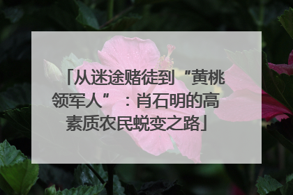 从迷途赌徒到“黄桃领军人”：肖石明的高素质农民蜕变之路
